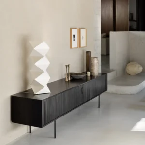 Roller Max mobile tv