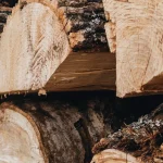 L’impegno ambientale di Boiserie Riva: la Certificazione FSC©