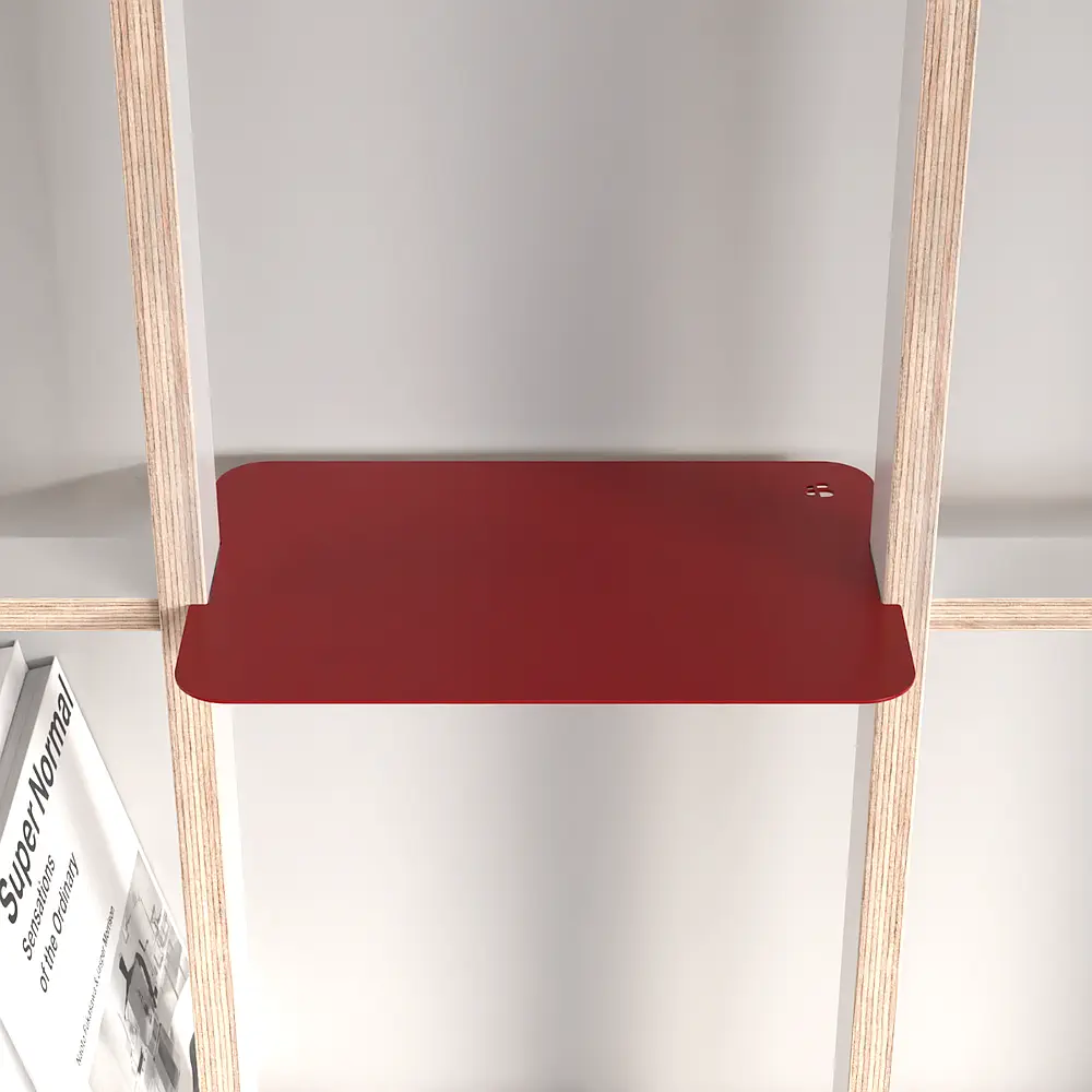 BREUER BONO anything-1