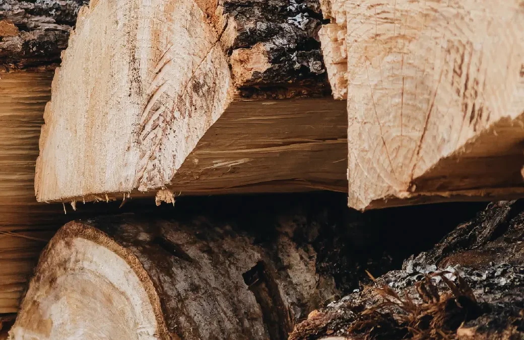 Boiserie Riva's environmental commitment: FSC© Certification